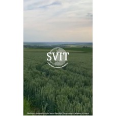 Продам земельну ділянку сільськогосподарського призначення