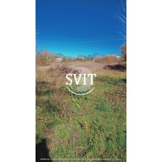 Продам земельну ділянку в селі Голосків