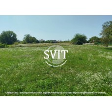 Продам земельну ділянку в селі Яруга