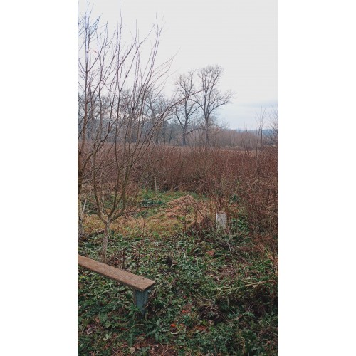 Продам будинок в селі Оринин