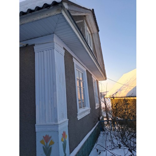 Продам будинок  селі Нігин