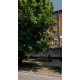 Продам кімнату 18 м² у гуртожитку в центрі Кам'янця-Подільського